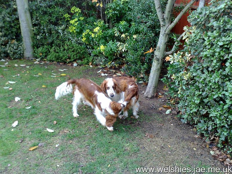 2009-11-16 13.jpg - Hal with his new toy again